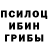 Псилоцибиновые грибы Psilocybine cubensis Max Batalov