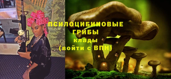 2c-b Заводоуковск
