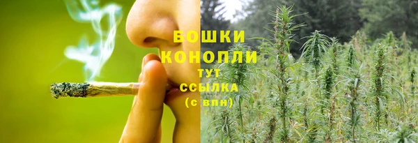 ECSTASY Зеленодольск