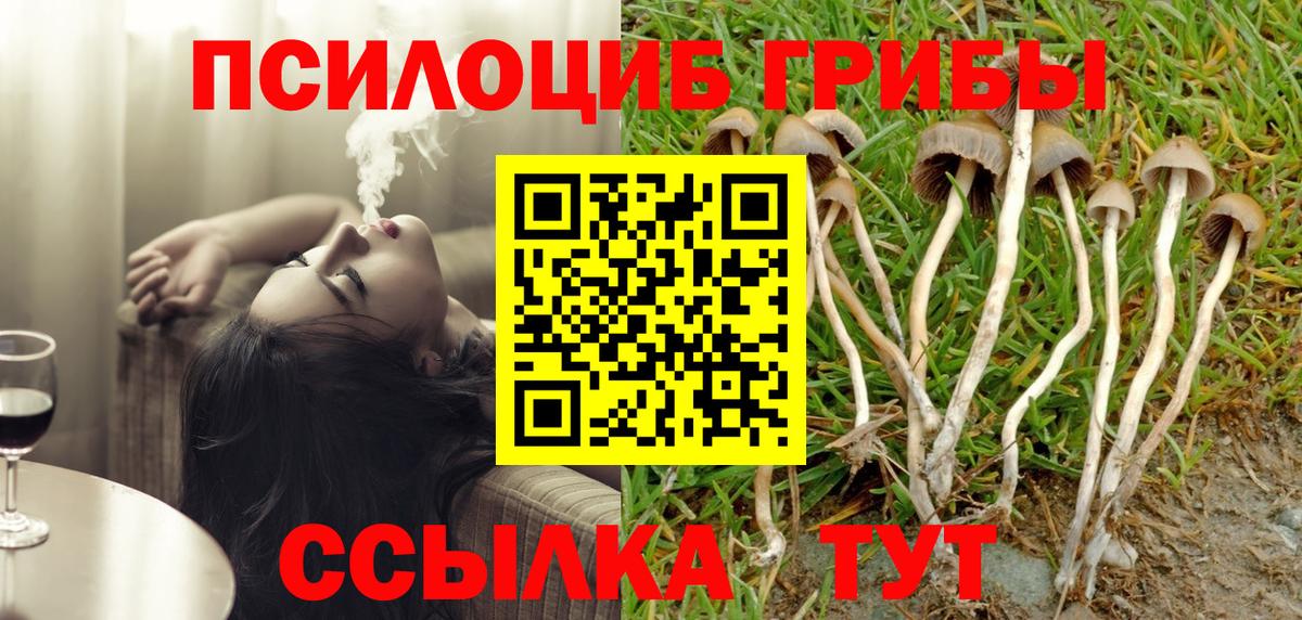 Псилоцибиновые грибы MAGIC MUSHROOMS  Вход с VPN  Избербаш  Галлюциногенные грибы ЛСД 